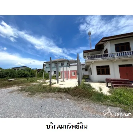 ที่ดินเปล่า วิเศษชัยชาญ อ่างทอง 10-2-30ไร่ - 5