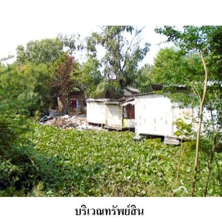 ที่ดินเปล่า เมือง สมุทรสาคร 1-3-67.1ไร่ - 7