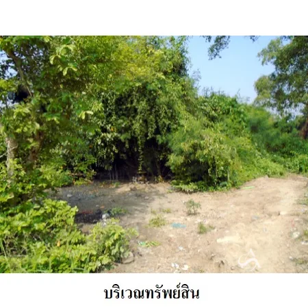 ที่ดินเปล่า เมือง สมุทรสาคร 1-3-67.1ไร่ - 8