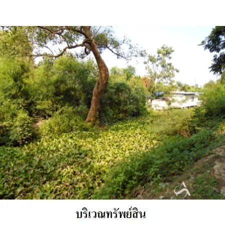 ที่ดินเปล่า เมือง สมุทรสาคร 1-3-67.1ไร่ - 9