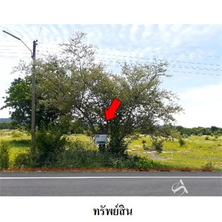ที่ดินเปล่า พระพุทธบาท สระบุรี 48-0-0ไร่ - 6