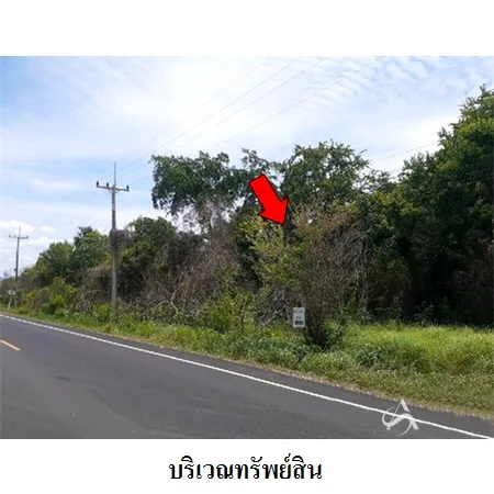 ที่ดินเปล่า พระพุทธบาท สระบุรี 48-0-0ไร่ - 4