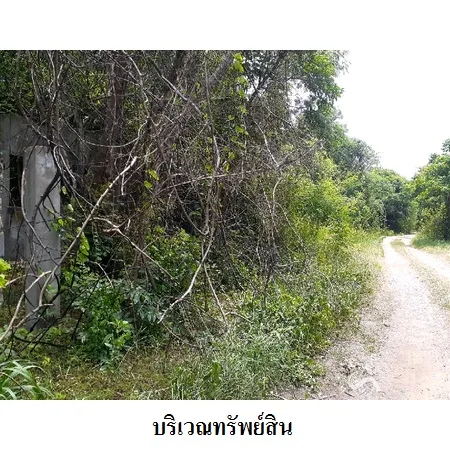 ที่ดินเปล่า พระพุทธบาท สระบุรี 48-0-0ไร่ - 6