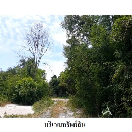 ที่ดินเปล่า พระพุทธบาท สระบุรี 48-0-0ไร่ - 8