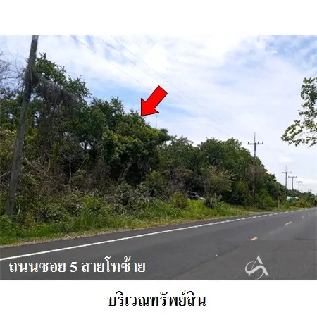 ที่ดินเปล่า พระพุทธบาท สระบุรี 48-0-0ไร่