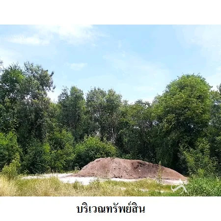 ที่ดินเปล่า พระพุทธบาท สระบุรี 48-0-0ไร่ - 10