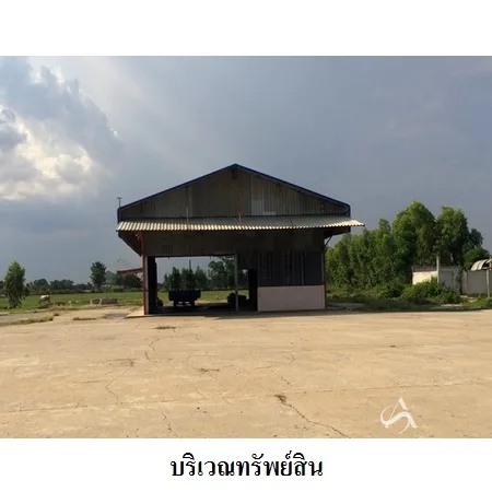 ที่ดินเปล่า ชุมพลบุรี สุรินทร์ 11-2-32ไร่ - 13