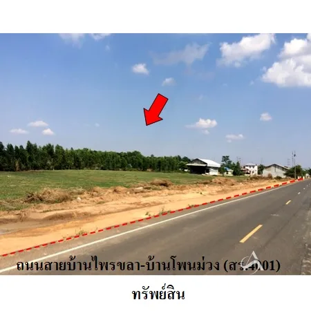 ที่ดินเปล่า ชุมพลบุรี สุรินทร์ 11-2-32ไร่
