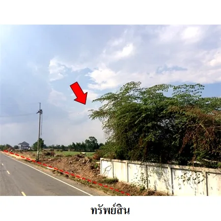 ที่ดินเปล่า ชุมพลบุรี สุรินทร์ 11-2-32ไร่ - 5