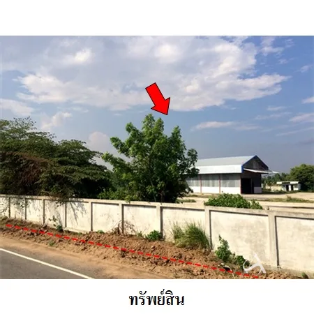 ที่ดินเปล่า ชุมพลบุรี สุรินทร์ 11-2-32ไร่ - 6
