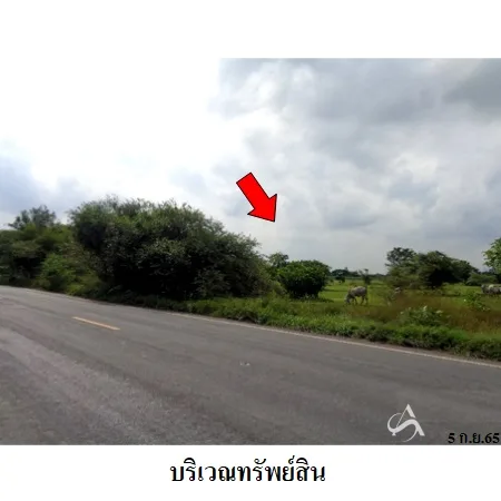 ที่ดินเปล่า พัฒนานิคม ลพบุรี 24-1-78.6ไร่ - 3