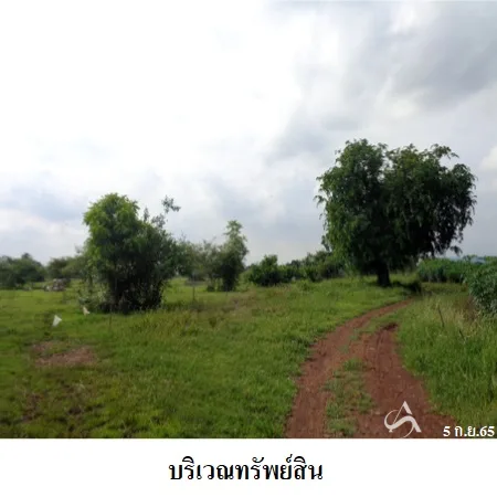 ที่ดินเปล่า พัฒนานิคม ลพบุรี 24-1-78.6ไร่ - 4