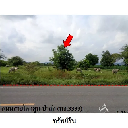 ที่ดินเปล่า พัฒนานิคม ลพบุรี 24-1-78.6ไร่