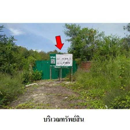 ที่ดินเปล่า ศรีประจันต์ สุพรรณบุรี 11-3-8ไร่ - 4