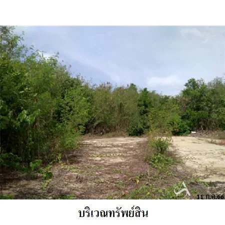 ที่ดินเปล่า ศรีประจันต์ สุพรรณบุรี 11-3-8ไร่ - 5