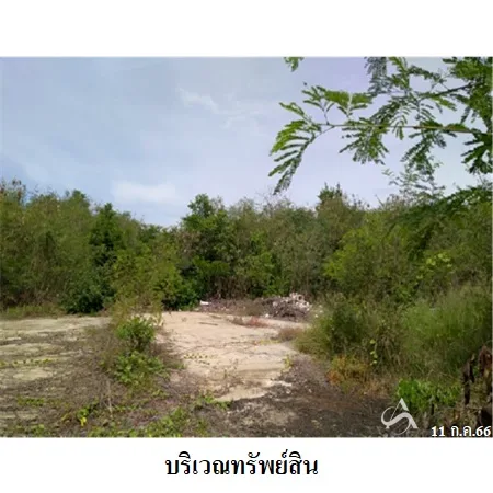 ที่ดินเปล่า ศรีประจันต์ สุพรรณบุรี 11-3-8ไร่ - 6