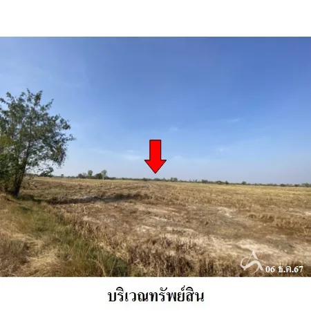 ที่ดินเปล่า ปทุมรัตต์ ร้อยเอ็ด 15-3-59ไร่ - 6