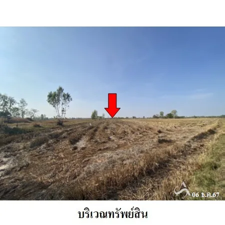 ที่ดินเปล่า ปทุมรัตต์ ร้อยเอ็ด 15-3-59ไร่ - 7