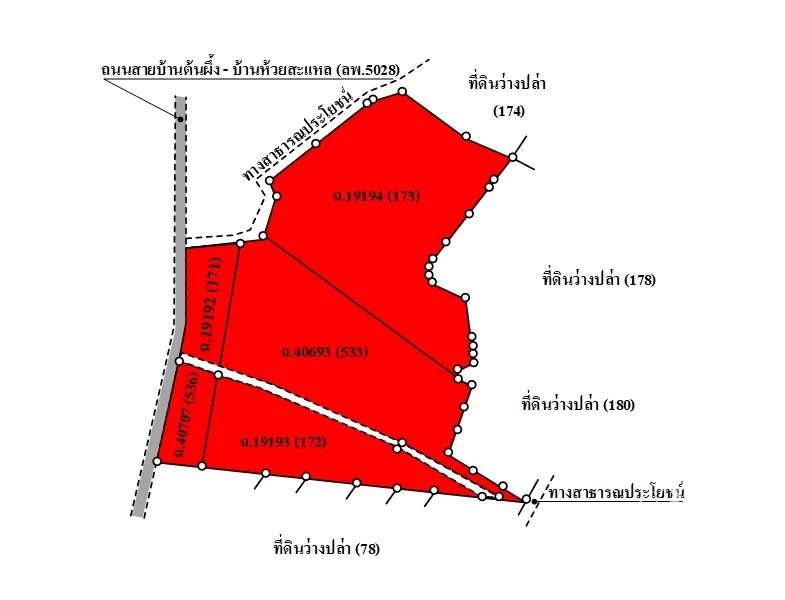 ที่ดินเปล่า บ้านโฮ่ง ลำพูน 90-1-59.9ไร่ - 3