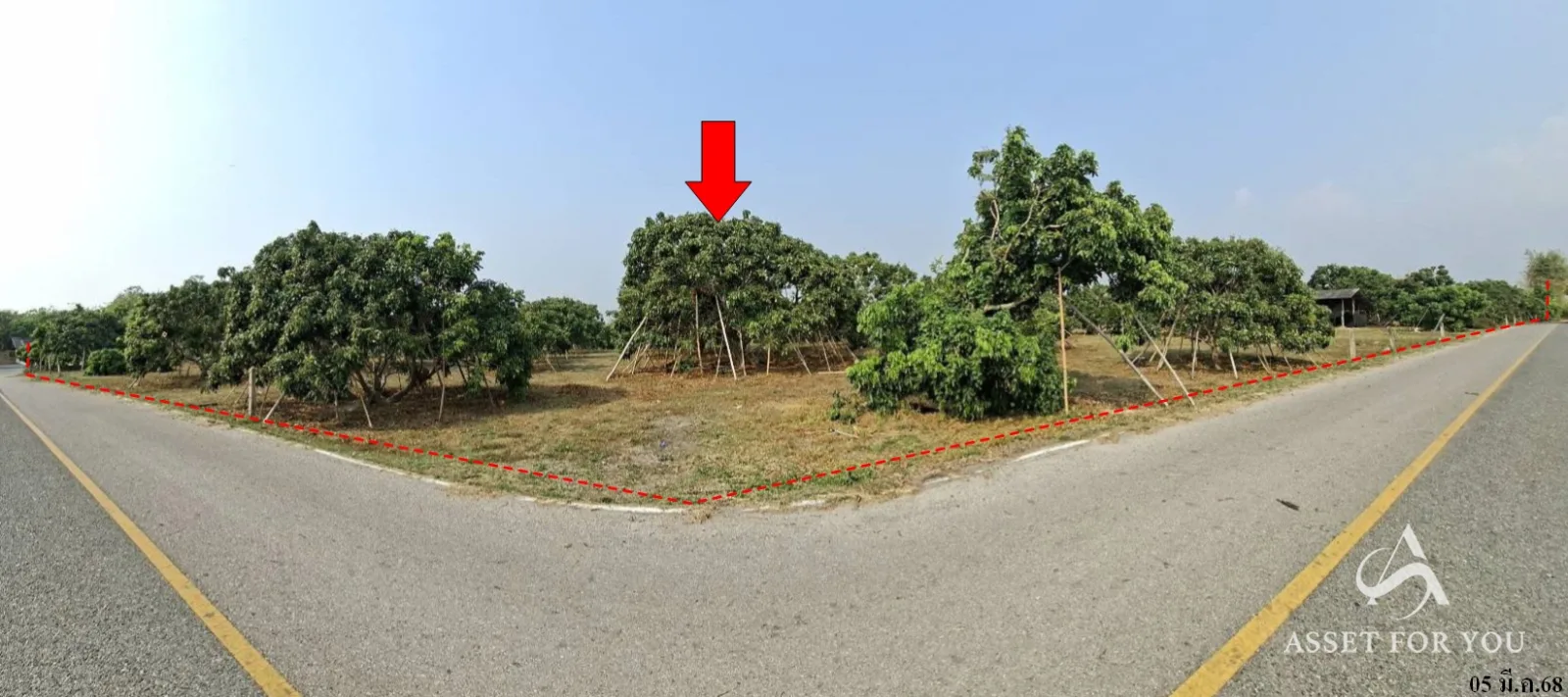 ที่ดินเปล่า บ้านโฮ่ง ลำพูน 90-1-59.9ไร่ - 5