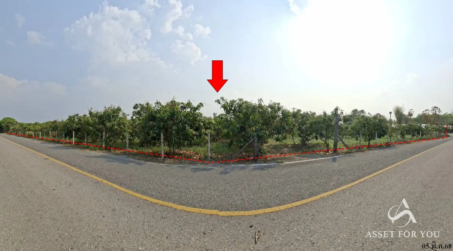 ที่ดินเปล่า บ้านโฮ่ง ลำพูน 90-1-59.9ไร่ - 6