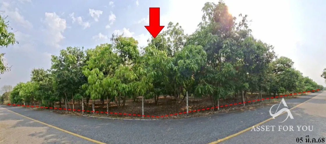 ที่ดินเปล่า บ้านโฮ่ง ลำพูน 90-1-59.9ไร่ - 7