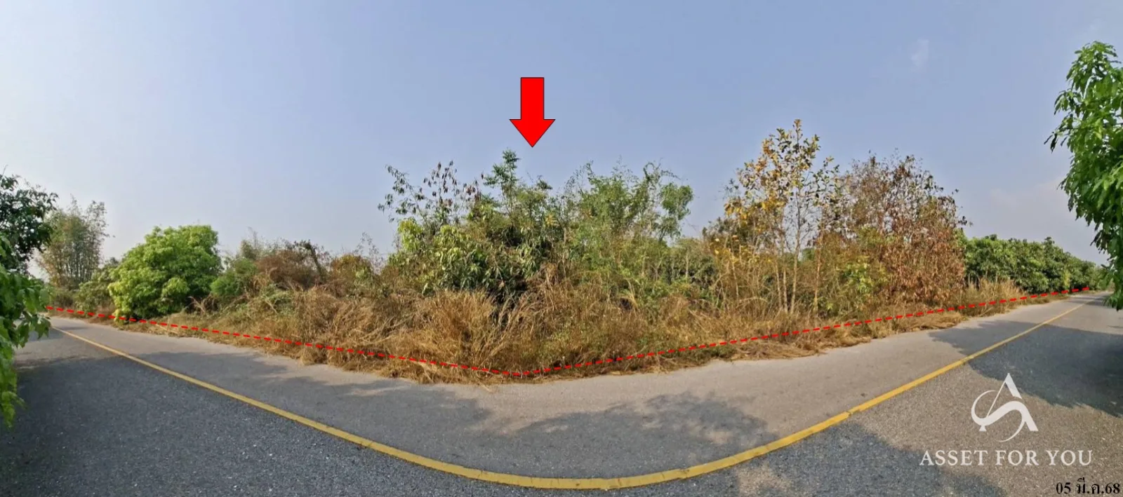 ที่ดินเปล่า บ้านโฮ่ง ลำพูน 90-1-59.9ไร่ - 8