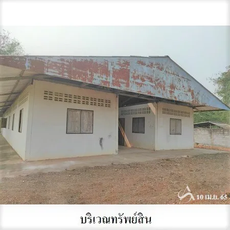 ที่ดินเปล่า เชียงยืน มหาสารคาม 6-3-96ไร่ - 11