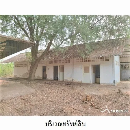 ที่ดินเปล่า เชียงยืน มหาสารคาม 6-3-96ไร่ - 15