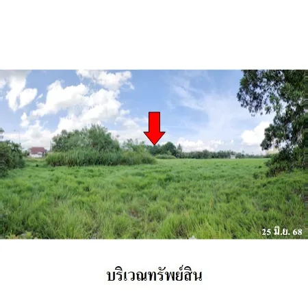 ที่ดินเปล่า เมือง นครศรีธรรมราช 7-2-51.2ไร่ - 7