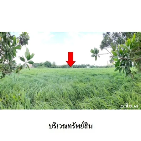 ที่ดินเปล่า เมือง นครศรีธรรมราช 7-2-51.2ไร่ - 8