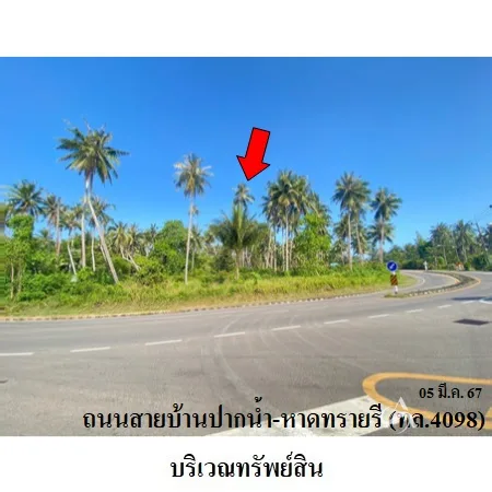 ที่ดินเปล่า เมือง ชุมพร 8-3-50ไร่ - 4