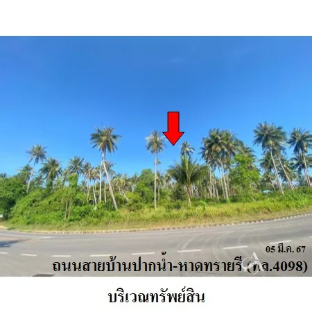 ที่ดินเปล่า เมือง ชุมพร 8-3-50ไร่ - 5