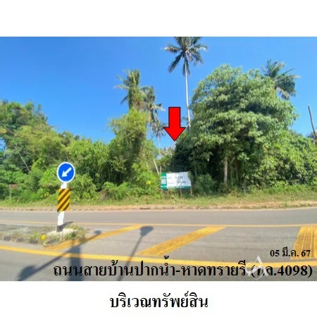ที่ดินเปล่า เมือง ชุมพร 8-3-50ไร่ - 6