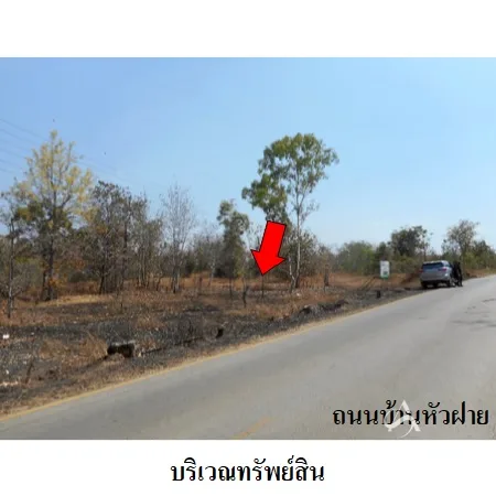 ที่ดินเปล่า เมือง ลำปาง 19-1-76.9ไร่ - 3