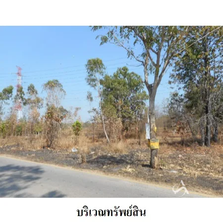 ที่ดินเปล่า เมือง ลำปาง 19-1-76.9ไร่ - 4