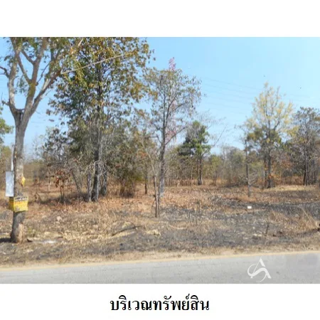 ที่ดินเปล่า เมือง ลำปาง 19-1-76.9ไร่ - 5