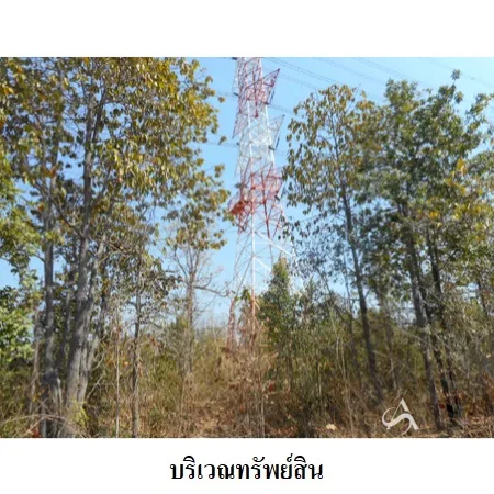 ที่ดินเปล่า เมือง ลำปาง 19-1-76.9ไร่ - 8