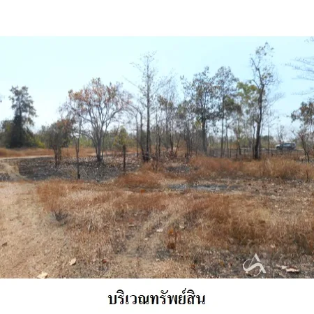 ที่ดินเปล่า เมือง ลำปาง 19-1-76.9ไร่ - 9