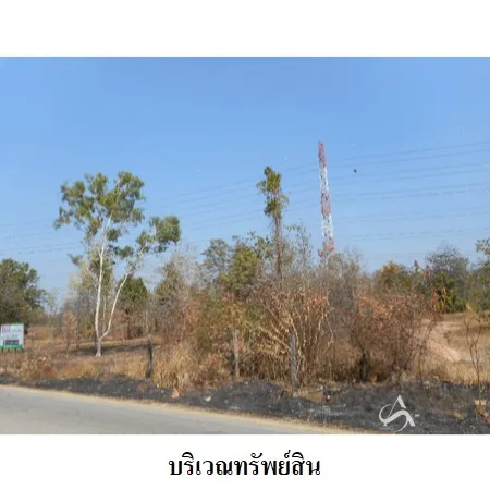 ที่ดินเปล่า เมือง ลำปาง 19-1-76.9ไร่ - 10