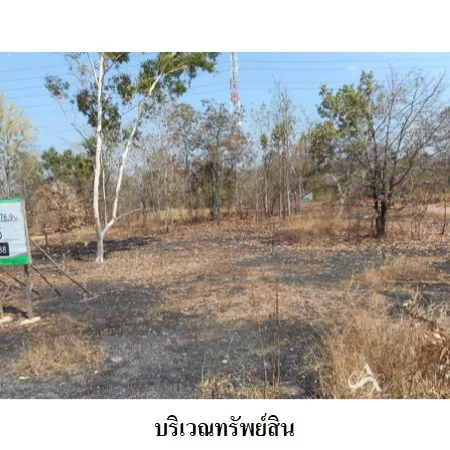 ที่ดินเปล่า เมือง ลำปาง 19-1-76.9ไร่ - 11