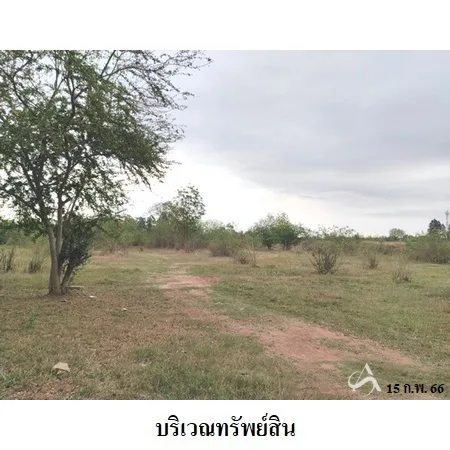 ที่ดินเปล่า พล ขอนแก่น 8-0-73.3ไร่ - 8