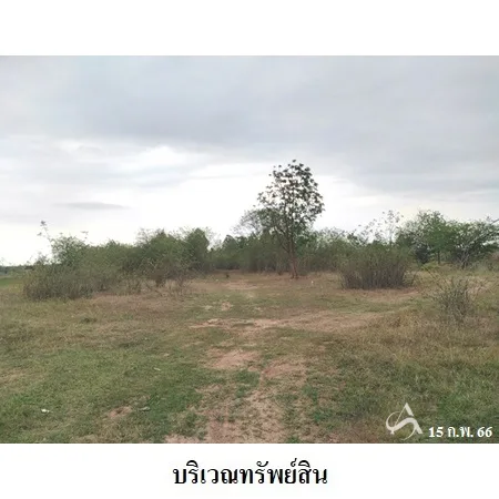 ที่ดินเปล่า พล ขอนแก่น 8-0-73.3ไร่ - 9