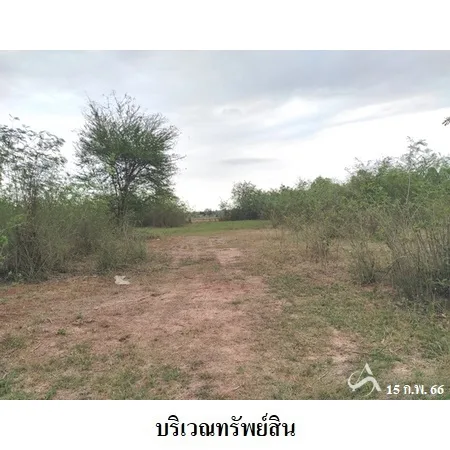 ที่ดินเปล่า พล ขอนแก่น 8-0-73.3ไร่ - 10