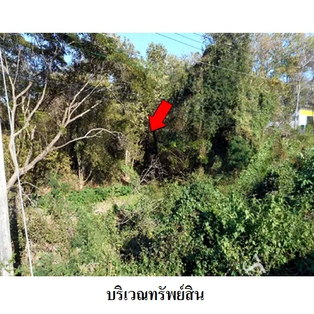 ที่ดินเปล่า เมือง ลำปาง 6-2-6.4ไร่ - 2
