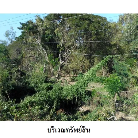 ที่ดินเปล่า เมือง ลำปาง 6-2-6.4ไร่ - 3