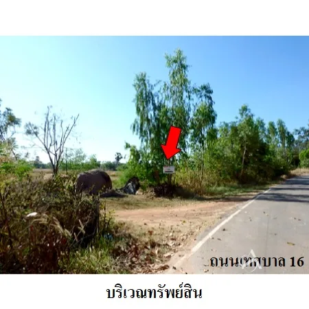 ที่ดินเปล่า คำเขื่อนแก้ว ยโสธร 31-1-14.6ไร่