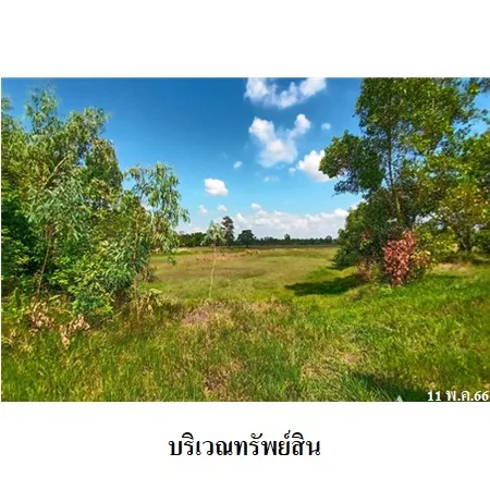 ที่ดินเปล่า คำเขื่อนแก้ว ยโสธร 31-1-14.6ไร่ - 6