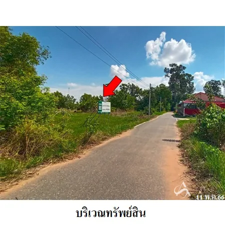 ที่ดินเปล่า คำเขื่อนแก้ว ยโสธร 31-1-14.6ไร่ - 9