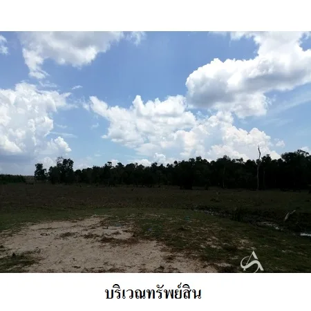 ที่ดินเปล่า หัวไทร นครศรีธรรมราช 232-1-87ไร่ - 5